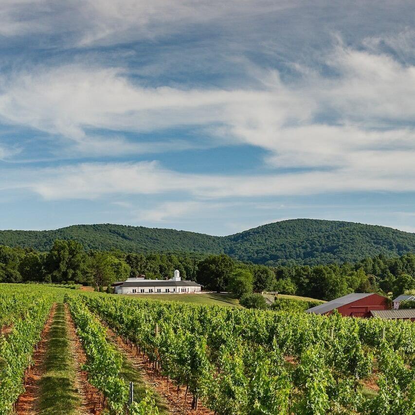 Picture of Barboursville Vineyards