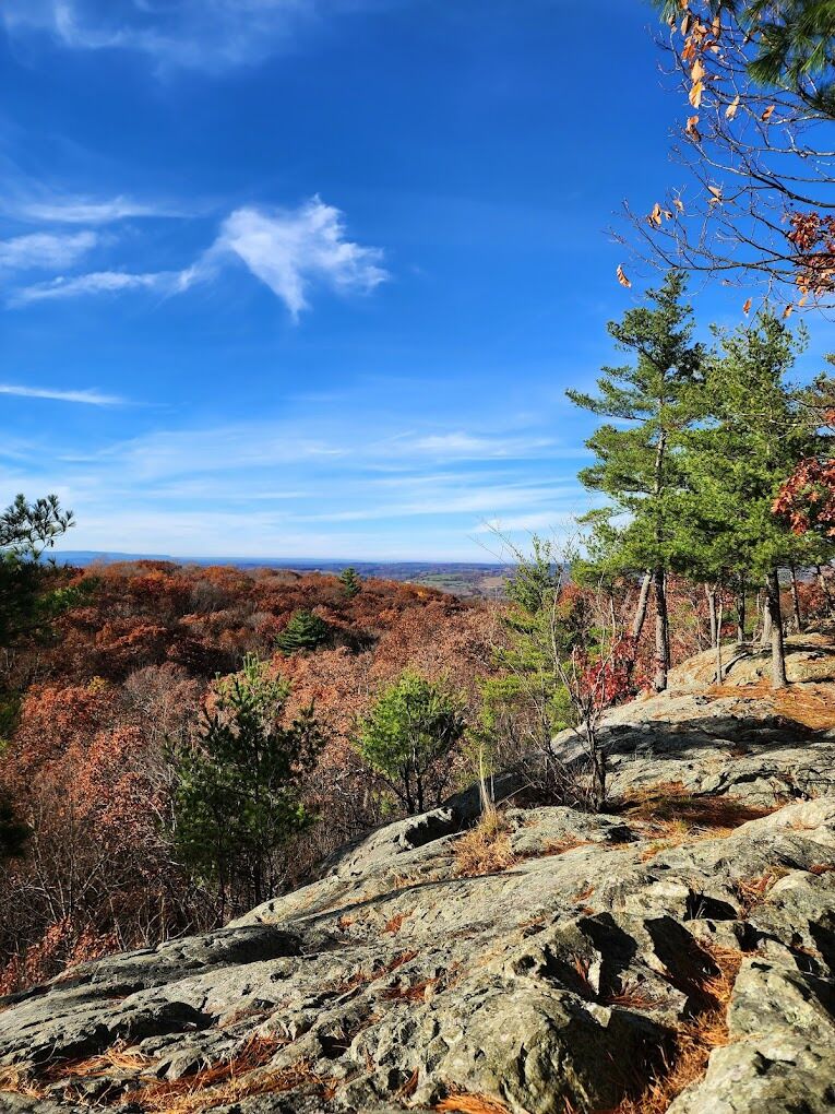 Picture of Wilson M. Powell Wildlife Sanctuary