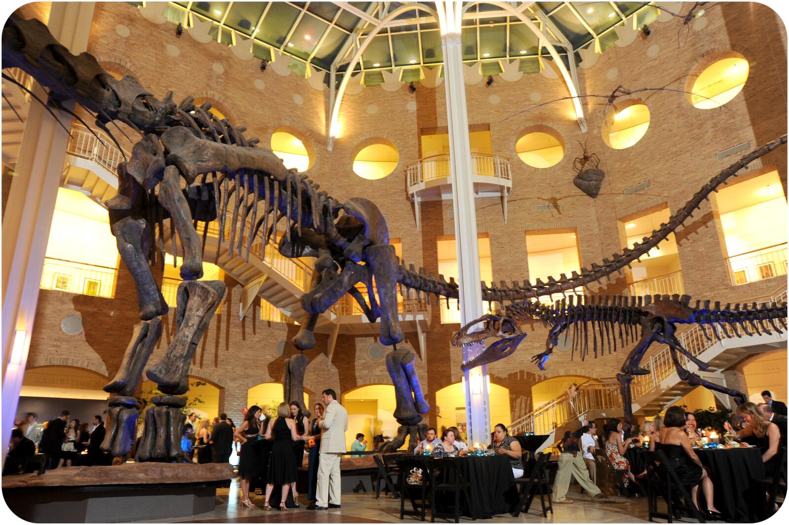 Picture of Fernbank Museum of Natural History