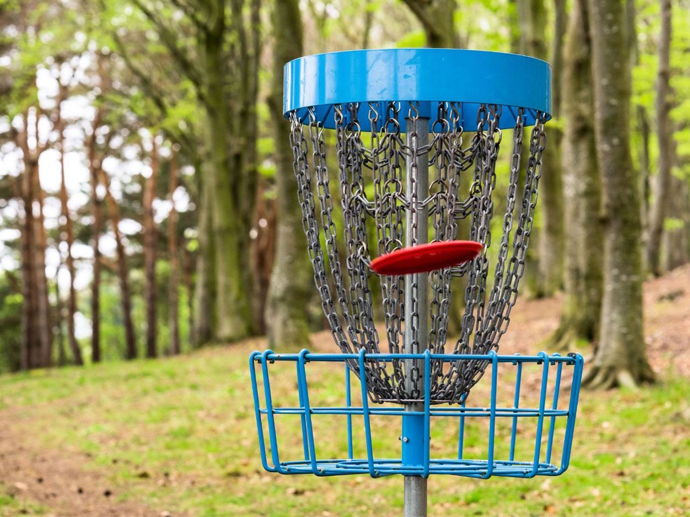 Picture of Chinhinta Park Disc Golf Course