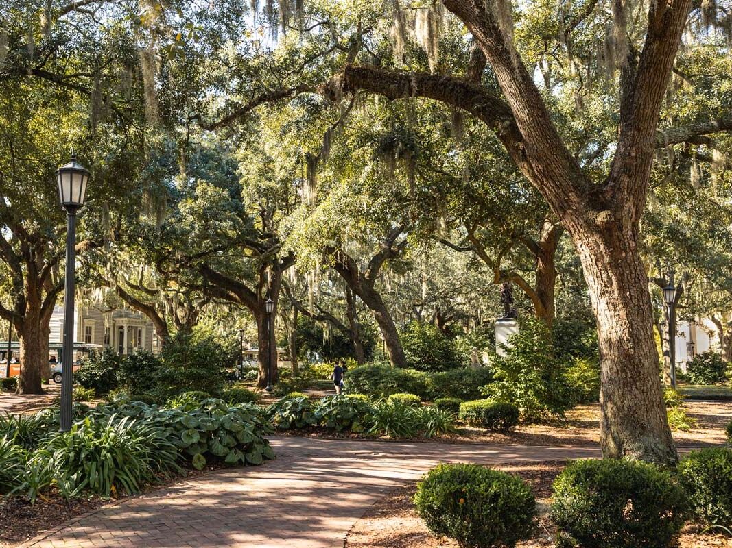 Picture of visit one of Savannah's 22 historic squares 