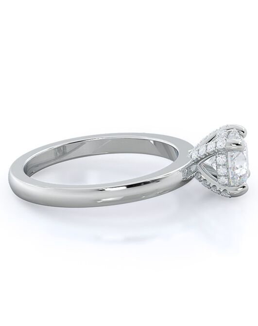With Clarity Classic Princess, Asscher, Cushion, Emerald, Marquise, Pear, Radiant, Round, Oval Cut Engagement Ring - 2