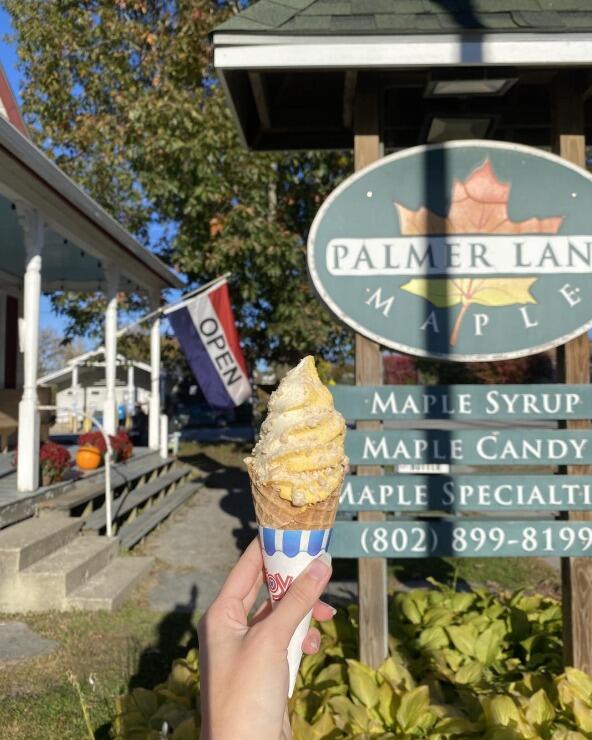 Picture of Palmer Lane Maple