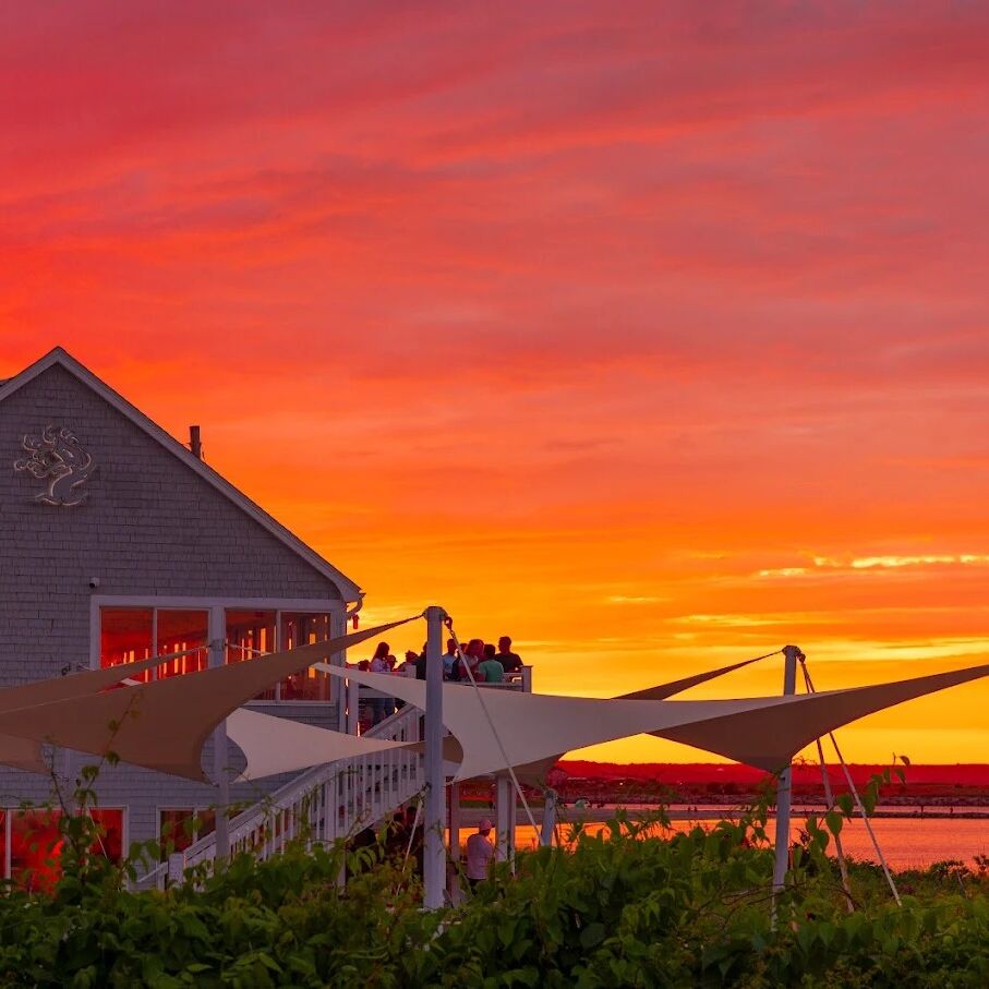Picture of Tree House Brewing - Cape Cod