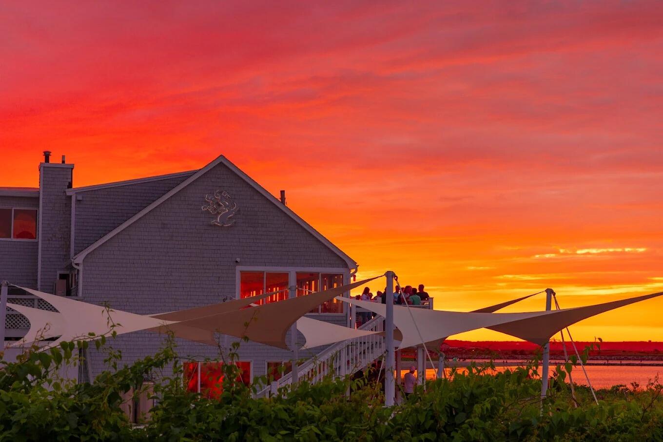 Picture of Tree House Brewing - Cape Cod