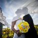 Yellow and White Bridal Bouquet