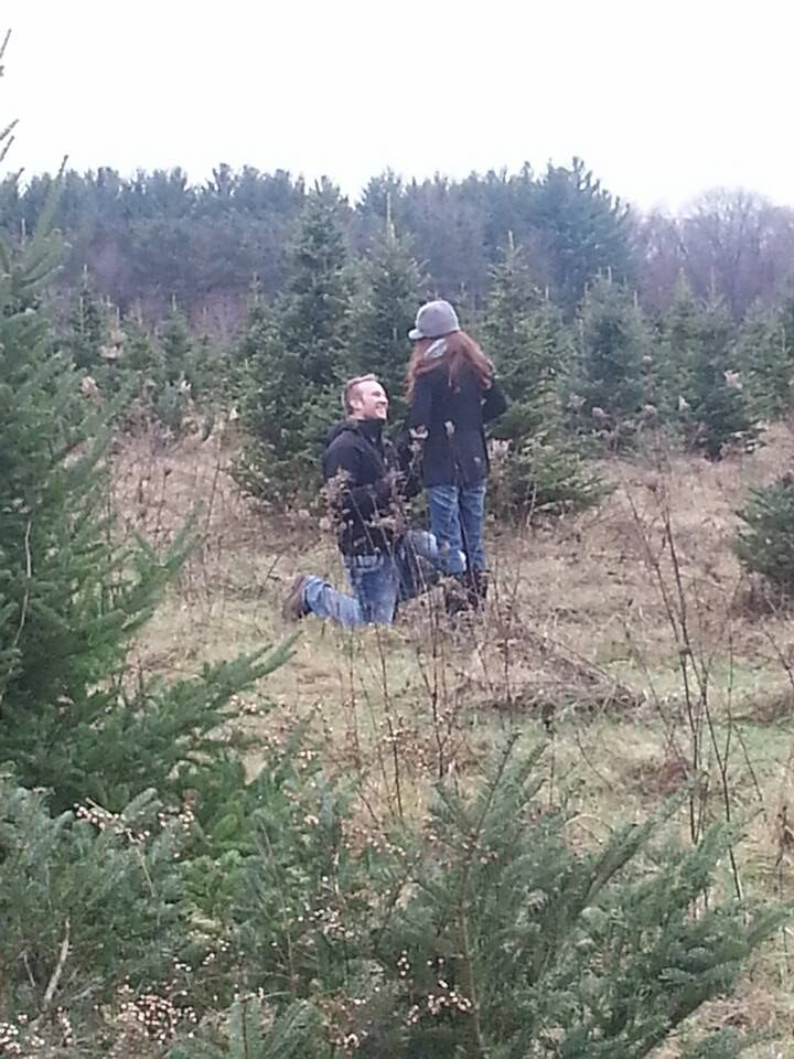 Picture of The Proposal