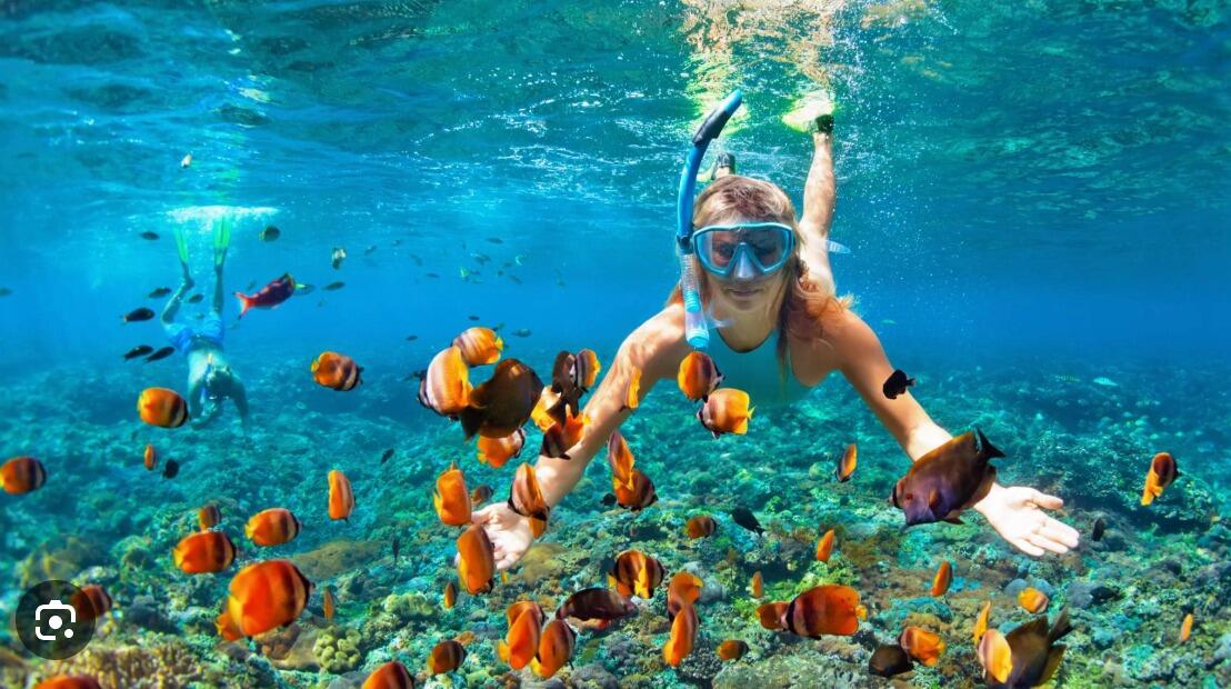 Picture of Snorkling~ Horseshoe Bay