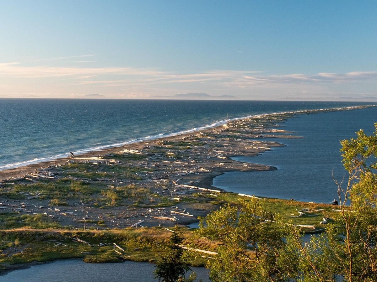 Picture of Dungeness Spit Trail