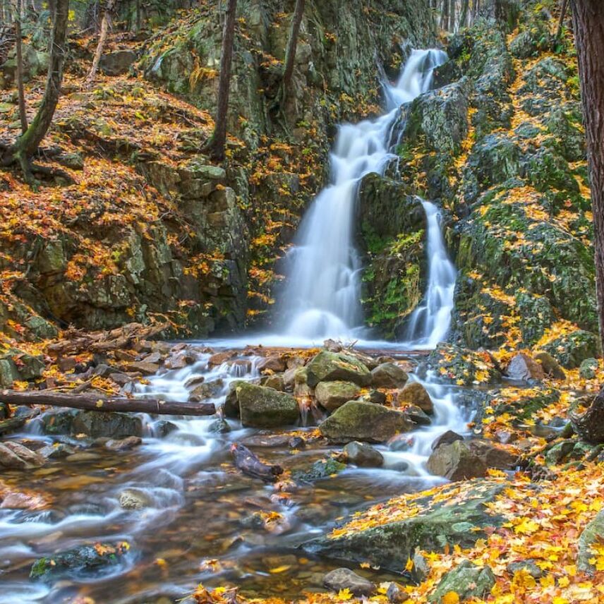Picture of Hudson Highlands State Park