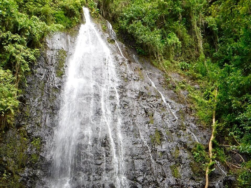 Picture of Hamama Falls