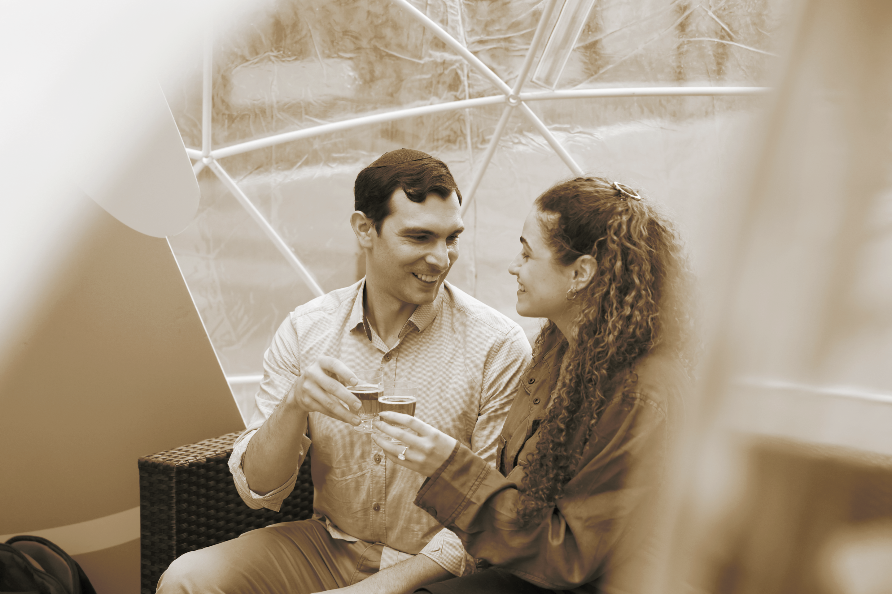 Alisa & Ilan Home Page Banner