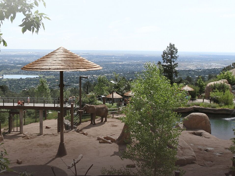 Picture of Cheyenne Mountain Zoo
