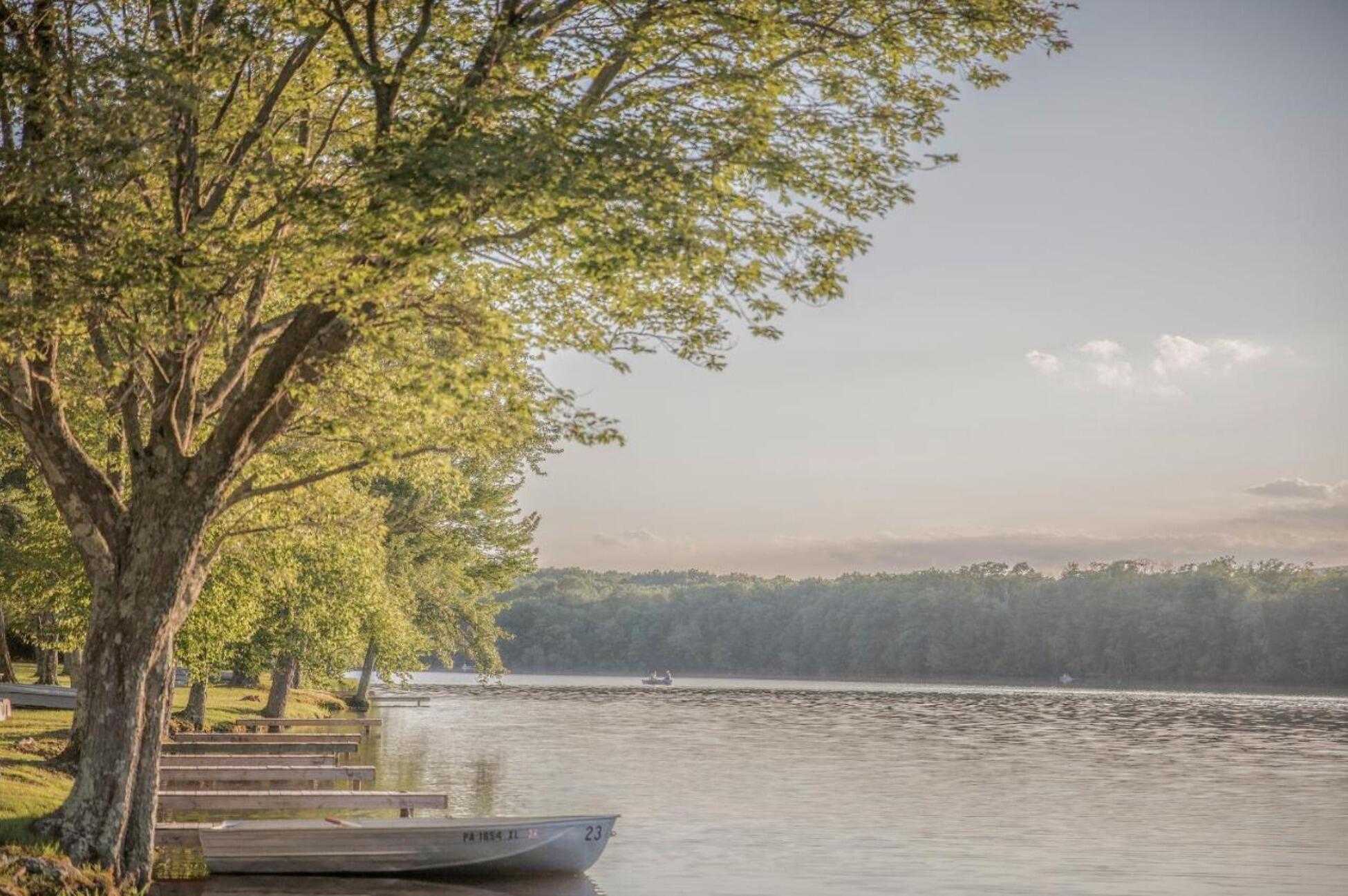 Picture of Mountain Springs Lake Resort