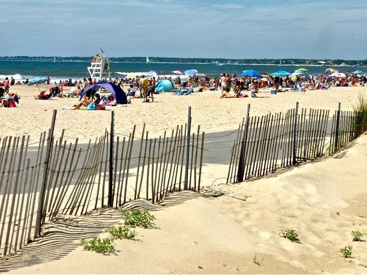 Picture of Horseneck Beach