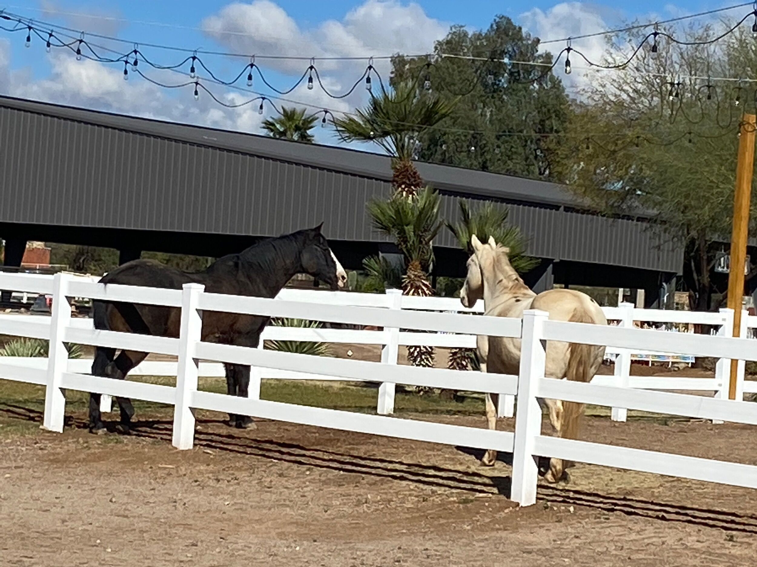 Picture of Connections Equine Therapy