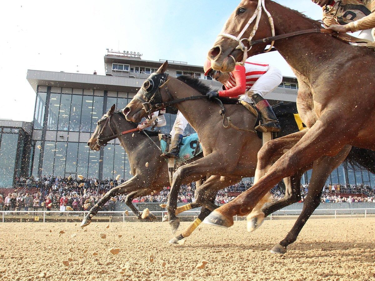 Picture of Oaklawn Racing Casino Resort