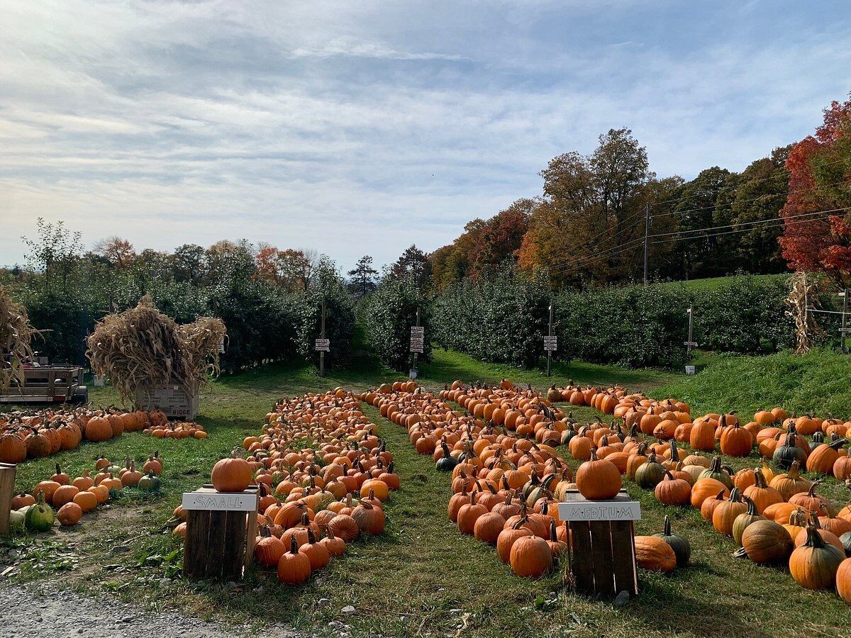 Picture of Burtt's Apple Orchard