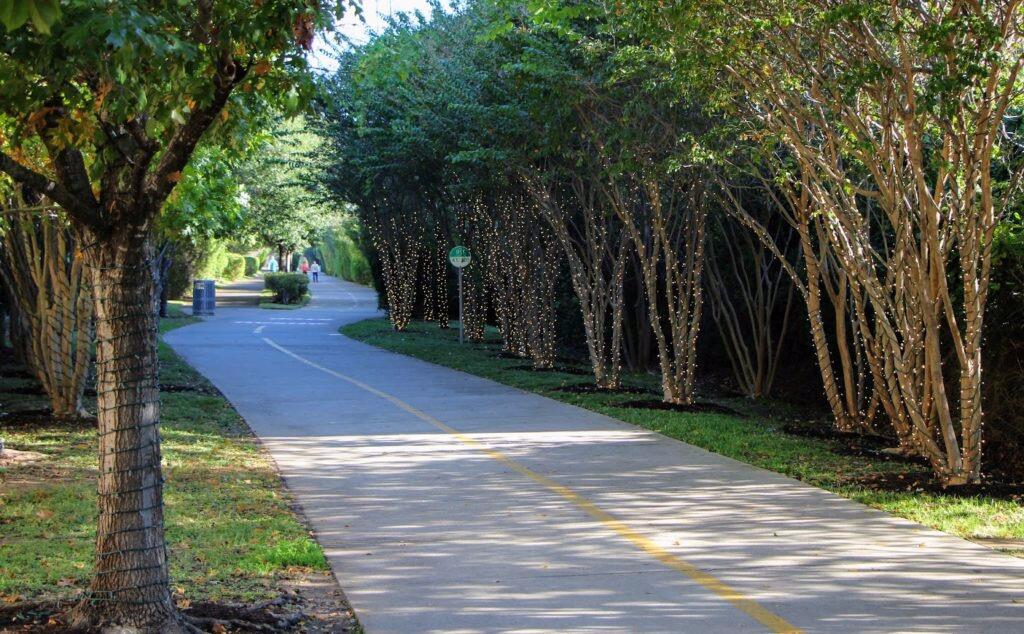 Picture of Katy trail