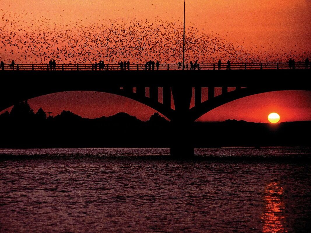 Picture of South Congress Bridge