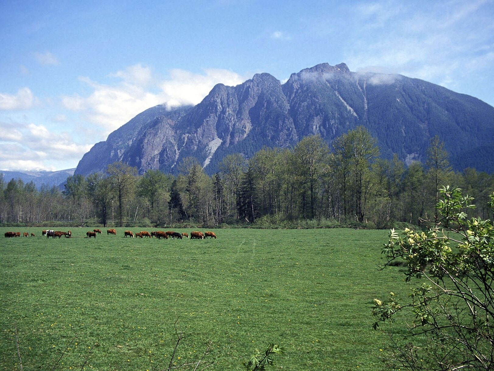 Picture of Hike Mt Si