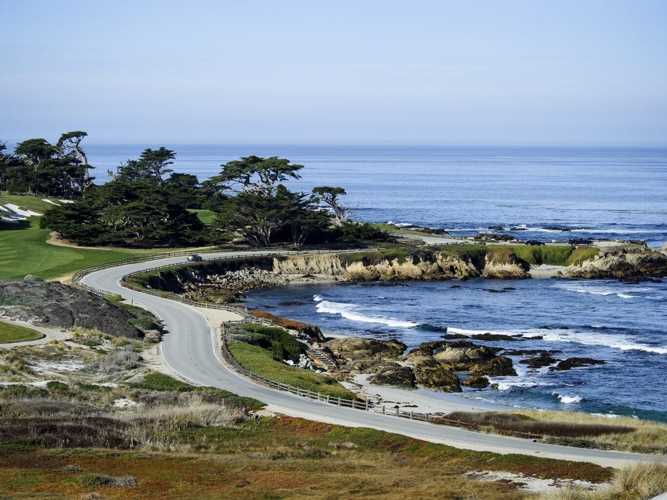 Picture of 17 Mile Drive Tour