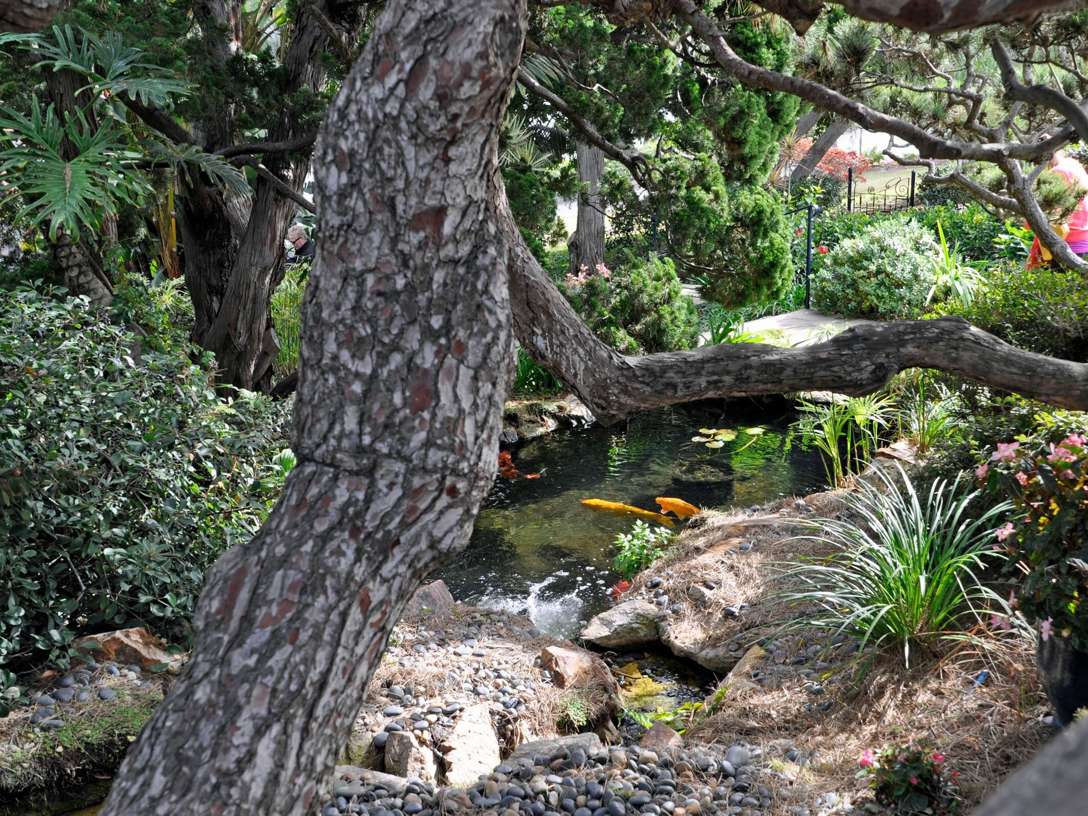 Picture of Self-Realization Fellowship Meditation Gardens