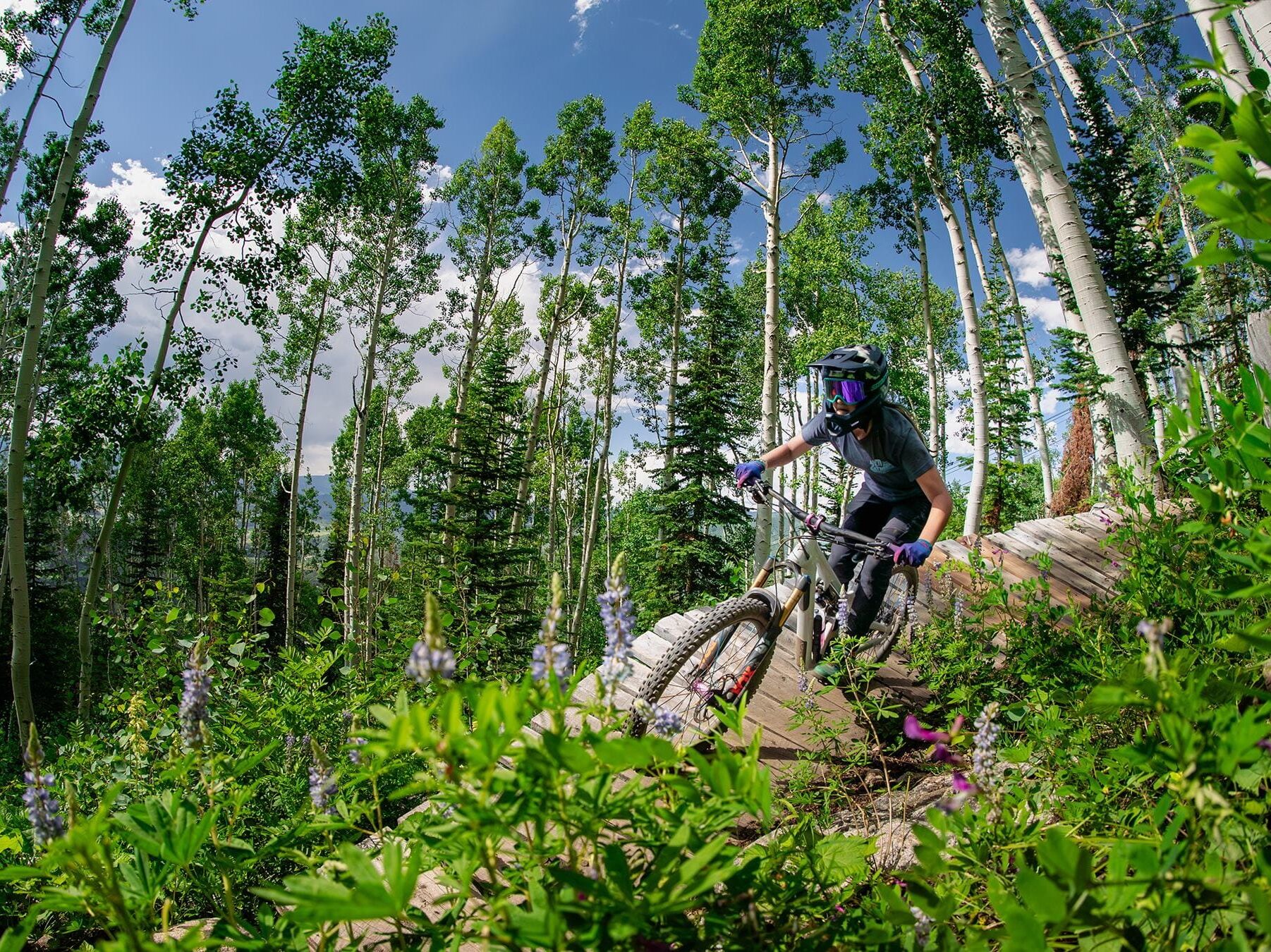 Picture of Steamboat Resort Bike Park