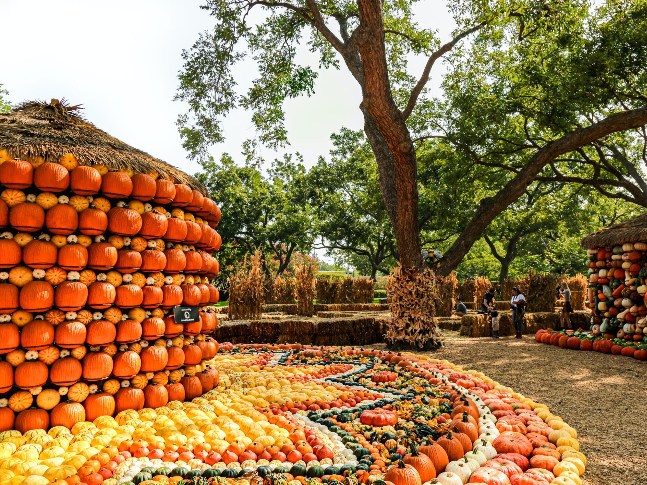 Picture of The Dallas Arboretum and Botanical Garden