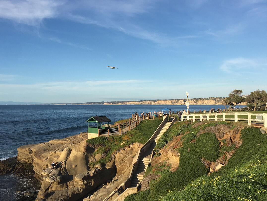 Picture of La Jolla Cove