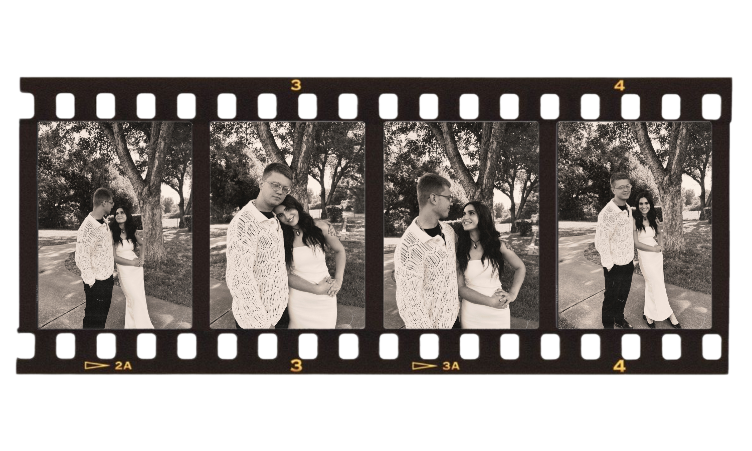 David & Masha Home Page Banner