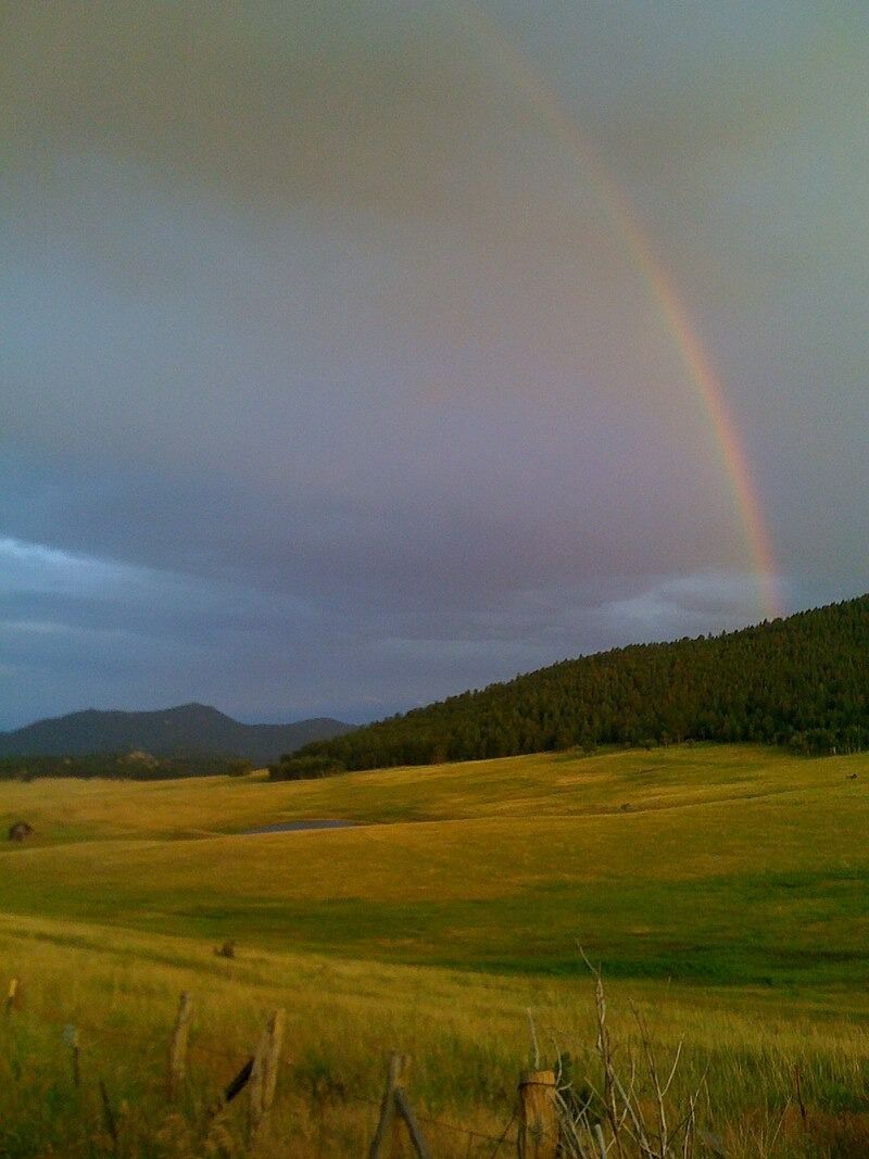 Picture of Elk Meadow Park