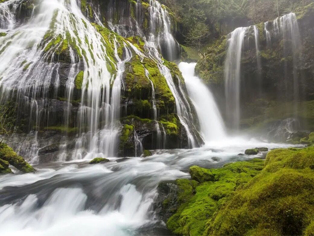 Picture of Panther Creek Falls Trailhead