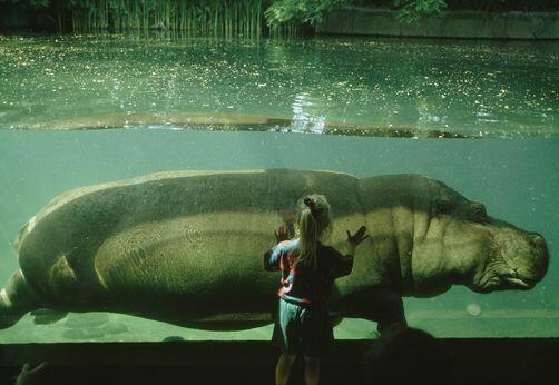 Picture of Toledo Zoo