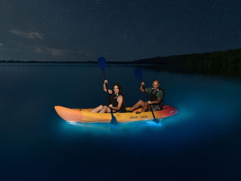 Picture of Puerto Rico Bio Bay Tours LLC.