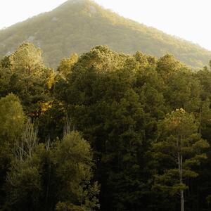 Gallery Photo 28