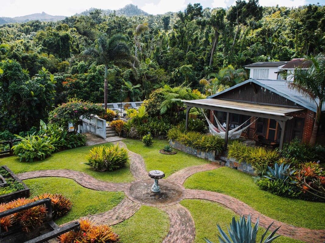 Picture of Rainforest Inn