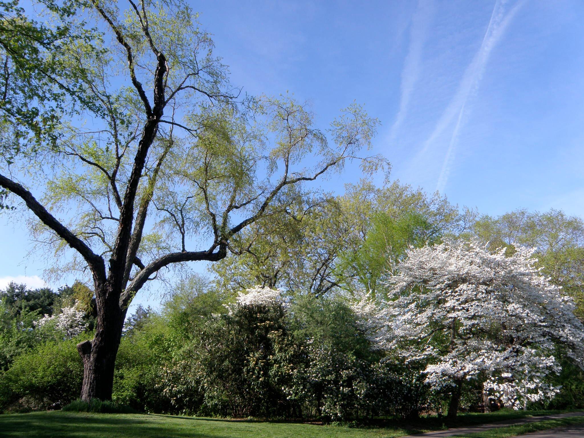 Picture of Emerald Necklace Conservancy