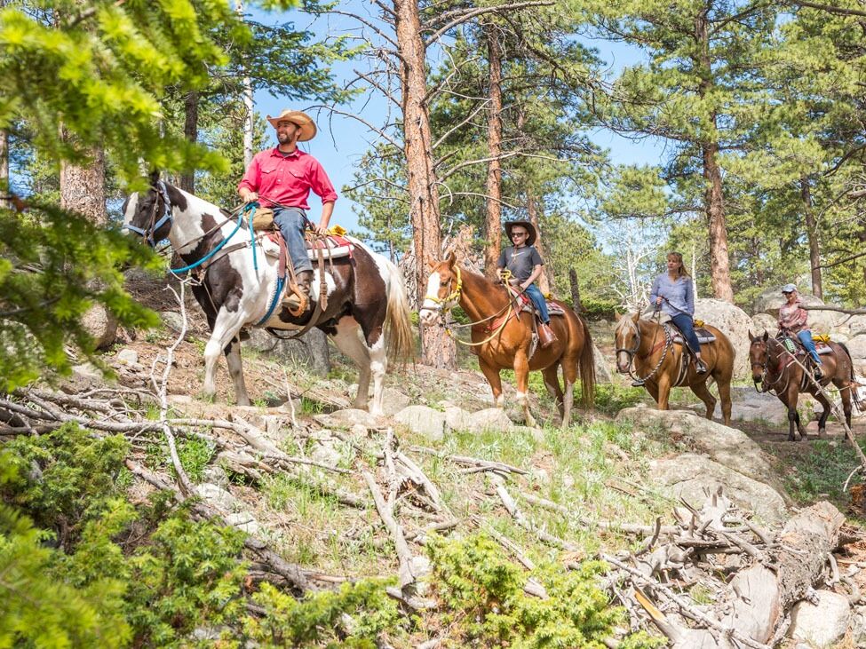 Picture of National Park Gateway Stables