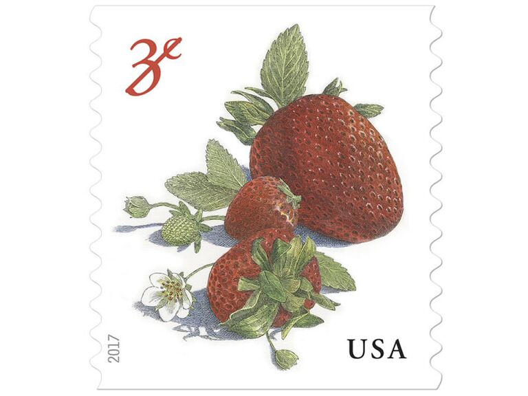 Strawberry illustration 3 cent postage stamp