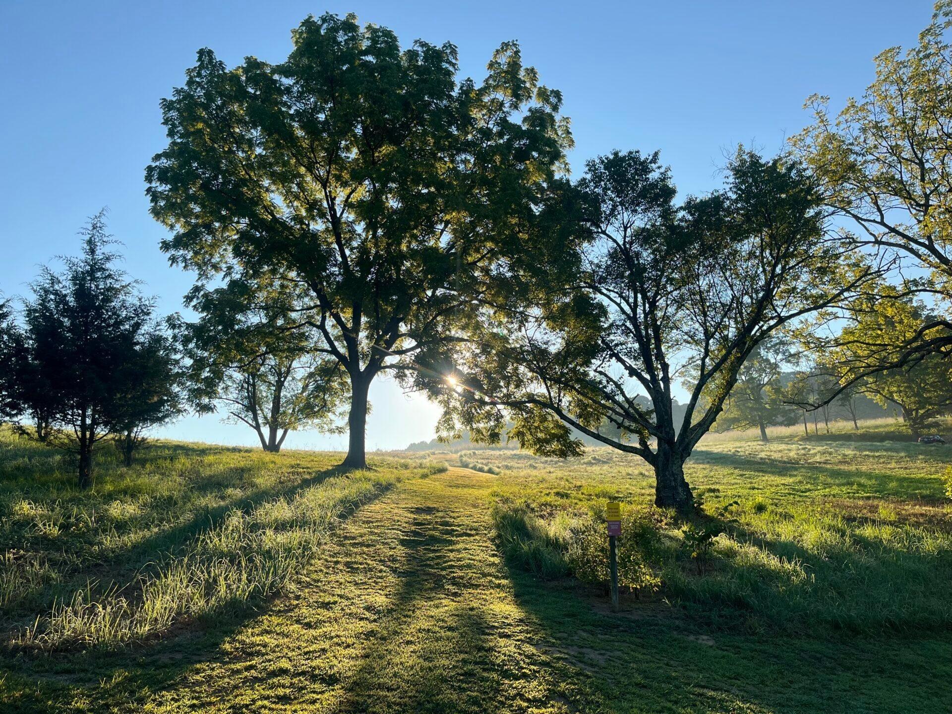 Picture of Natural Lands' Binky Lee Preserve