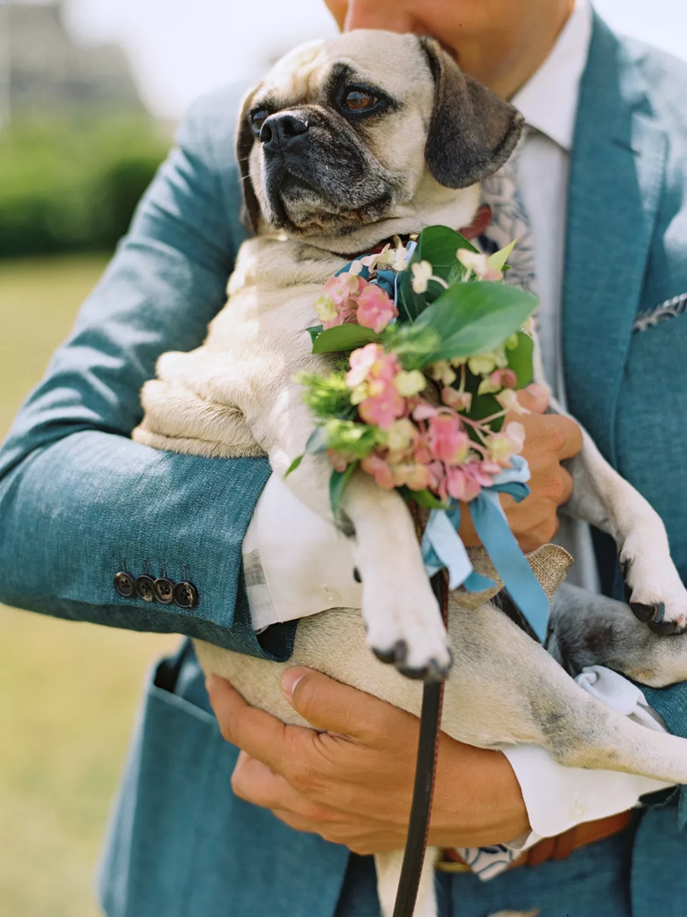 A pug poses with pride in a pretty floral collar.