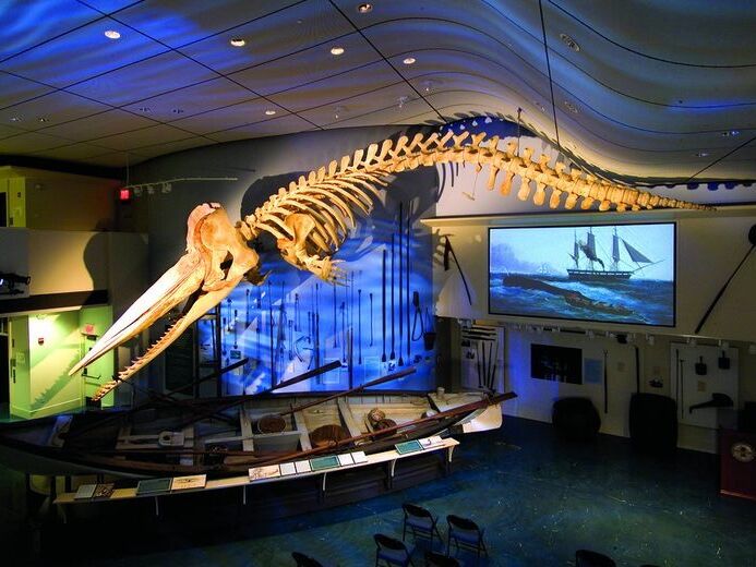 Picture of Whaling Museum