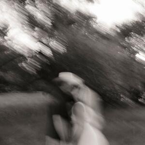 Gallery Photo 19