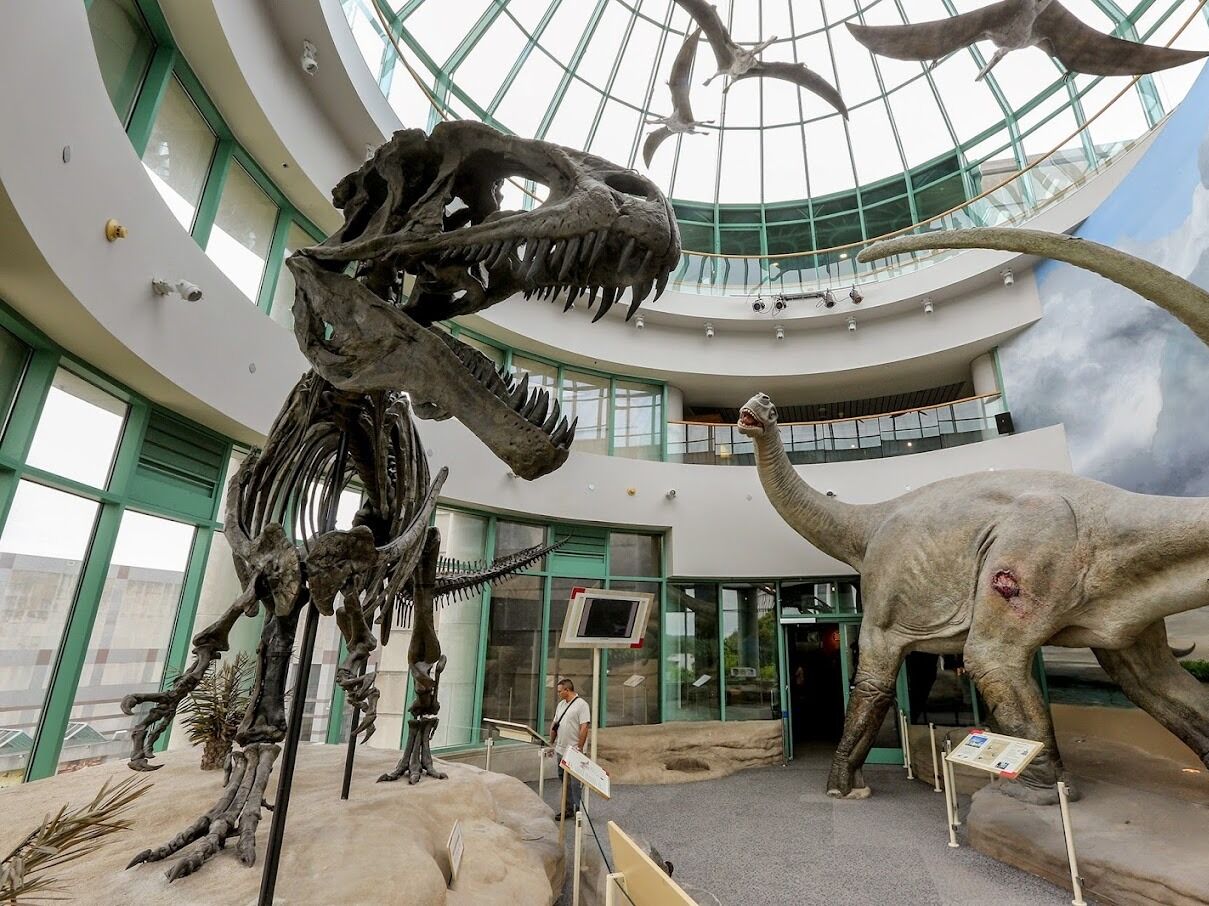 Picture of North Carolina Museum of Natural Sciences
