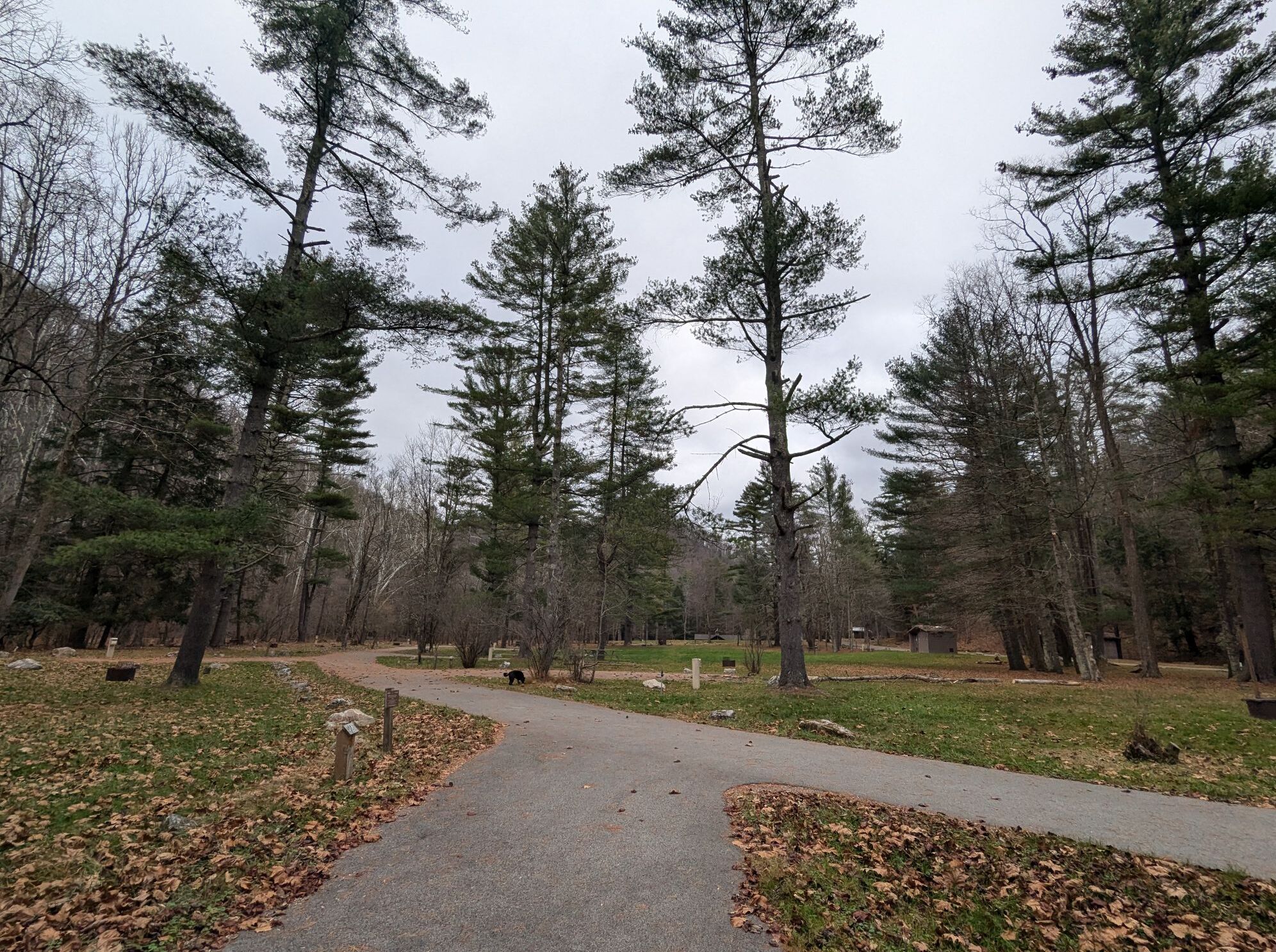 Picture of Horseshoe Recreation Area and Campground 