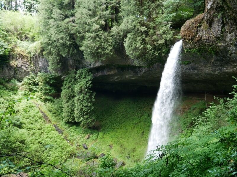 Picture of Silver Falls State Park