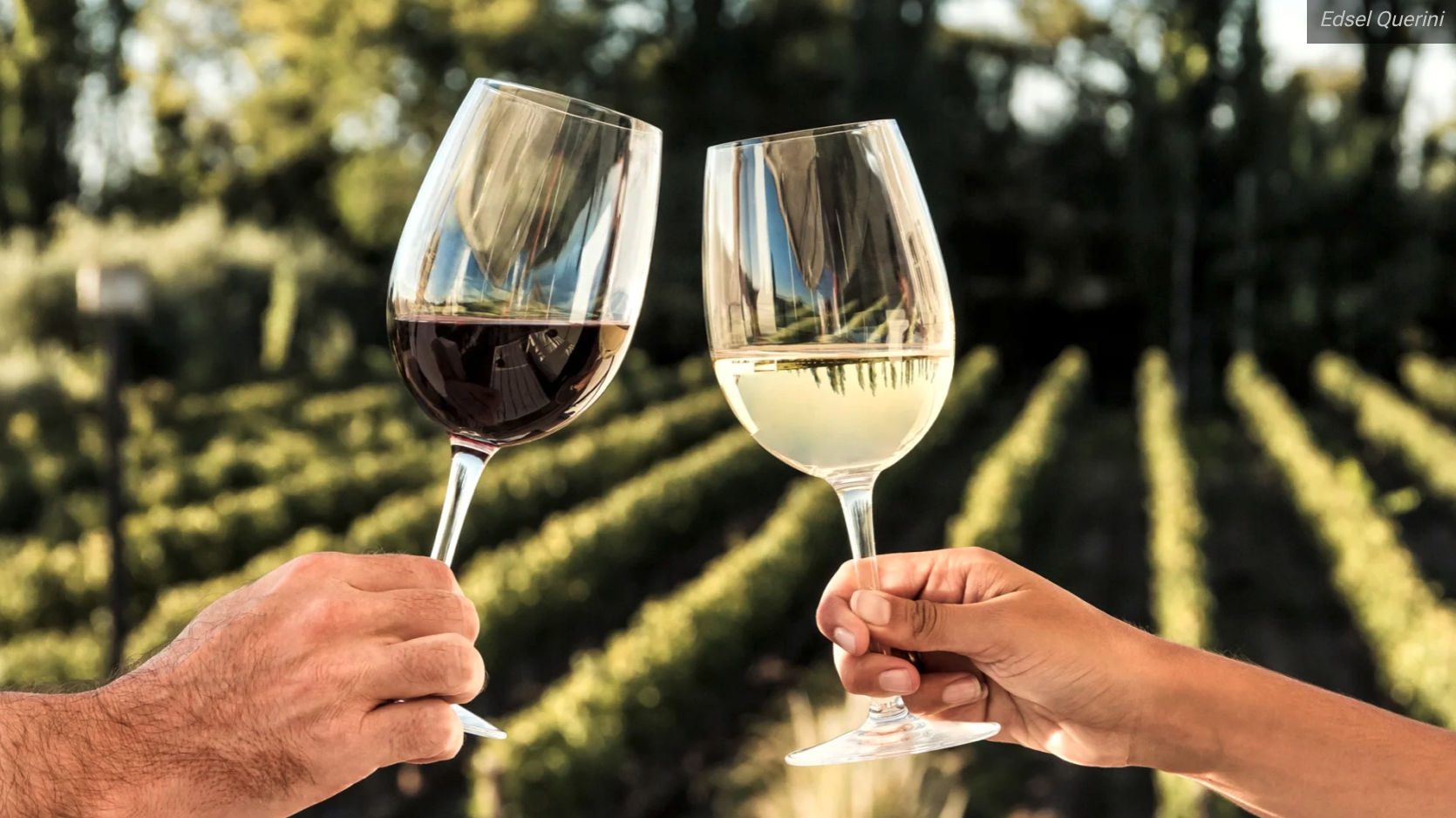 Picture of Temecula Wine Country