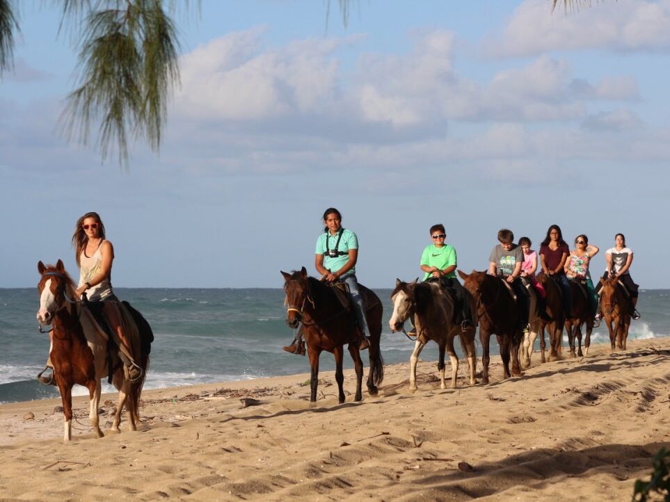 Picture of Tropical Trail Rides