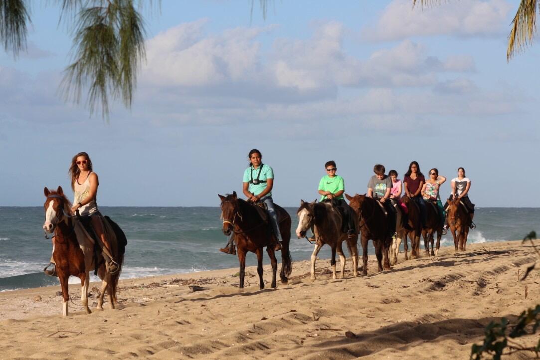 Picture of Tropical Trail Rides